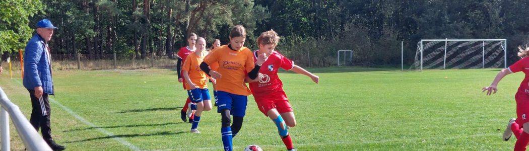 C-Juniorinnen – Starke Leistung ohne den verdienten Lohn C-Juniorinnen – Starke Leistung ohne den verdienten Lohn